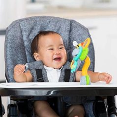   Infantino Stay & Play Sunflower tapadókorongos készségfejlesztő játék