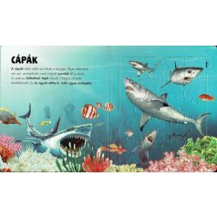 Szuper puzzle - Tengeri állatok