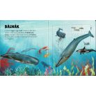 Szuper puzzle - Tengeri állatok