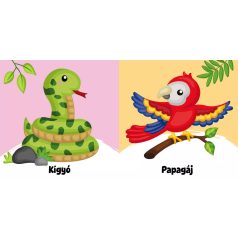 Dzsungel sípoló könyv