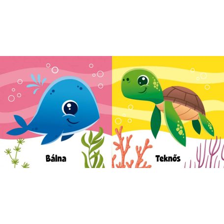 Tengeri cukiságok - sípoló könyv