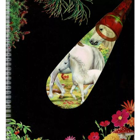 Zseblámpával - Az unikornisok nyomában