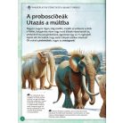 Varázslatos útmutató a mamutokhoz