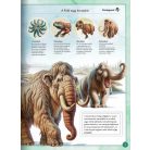 Varázslatos útmutató a mamutokhoz