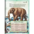 Varázslatos útmutató a mamutokhoz