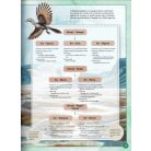 Varázslatos útmutató a mamutokhoz