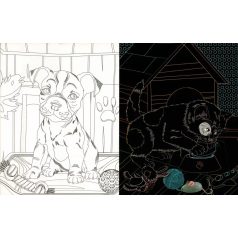   Rejtőzködő kedvencek - Kifestőfüzet kaparós és színezős oldalakkal