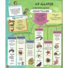 Állatok a világ körül