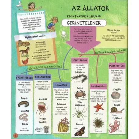 Állatok a világ körül