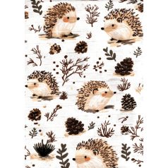 Mintás textil pelenka 1db-os - süni 