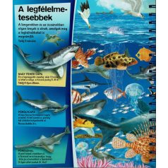 Nagyítóval - A tenger alatt 