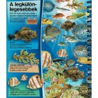 Nagyítóval - A tenger alatt 