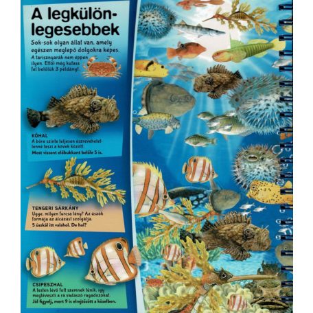 Nagyítóval - A tenger alatt 