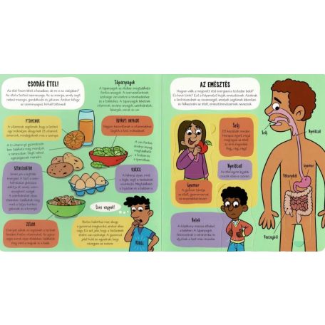 Kis felfedezők - Minden, ami ennivaló