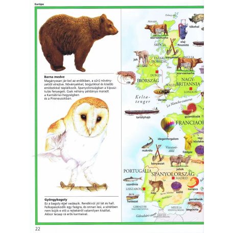 Képes atlasz gyermekeknek - Állatok a világban