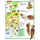 Képes atlasz gyermekeknek - Állatok a világban