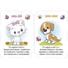 Kedves állatok - Cini és barátai