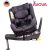 Avova Sperber-Fix I-Size 360° biztonsági gyerekülés 40-105 cm - Koala grey